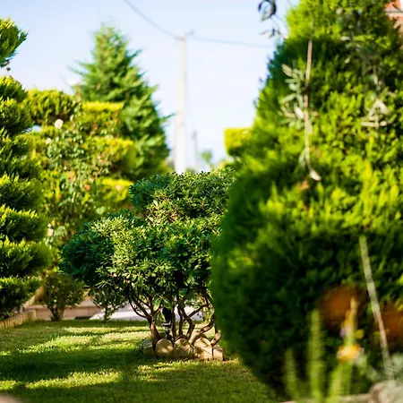 公寓 Mandani Luxury *